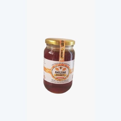 Miel d'eucalyptus 510g